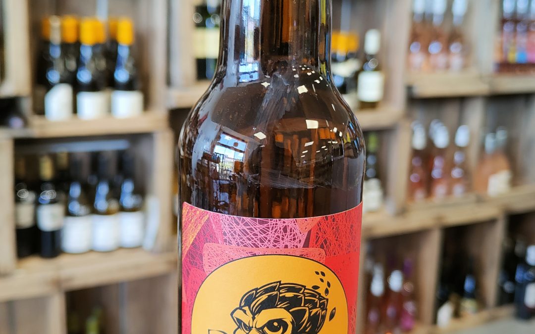 HOPDUK SESSION IPA 33CL