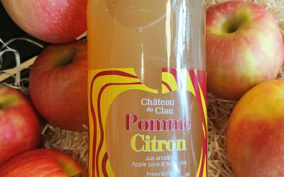 JUS DE POMME CITRON 1L