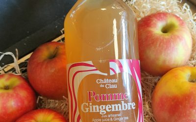 JUS DE POMME GINGEMBRE 1L