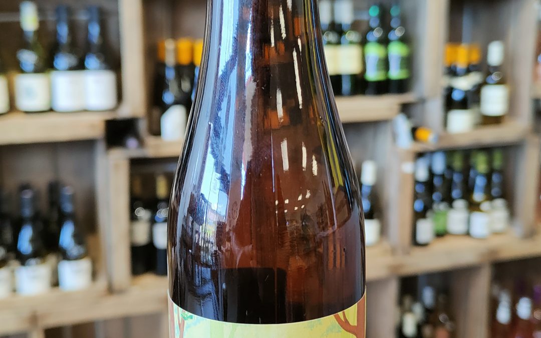 LA CABANE SELVA IPA 33CL